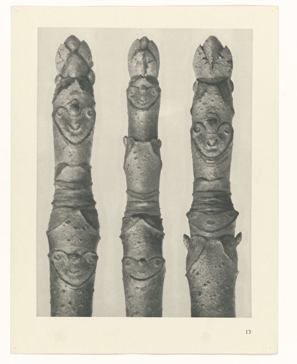 plan çalışması Sanat Arketipleri (dizi başlığı) by Karl Blossfeldt