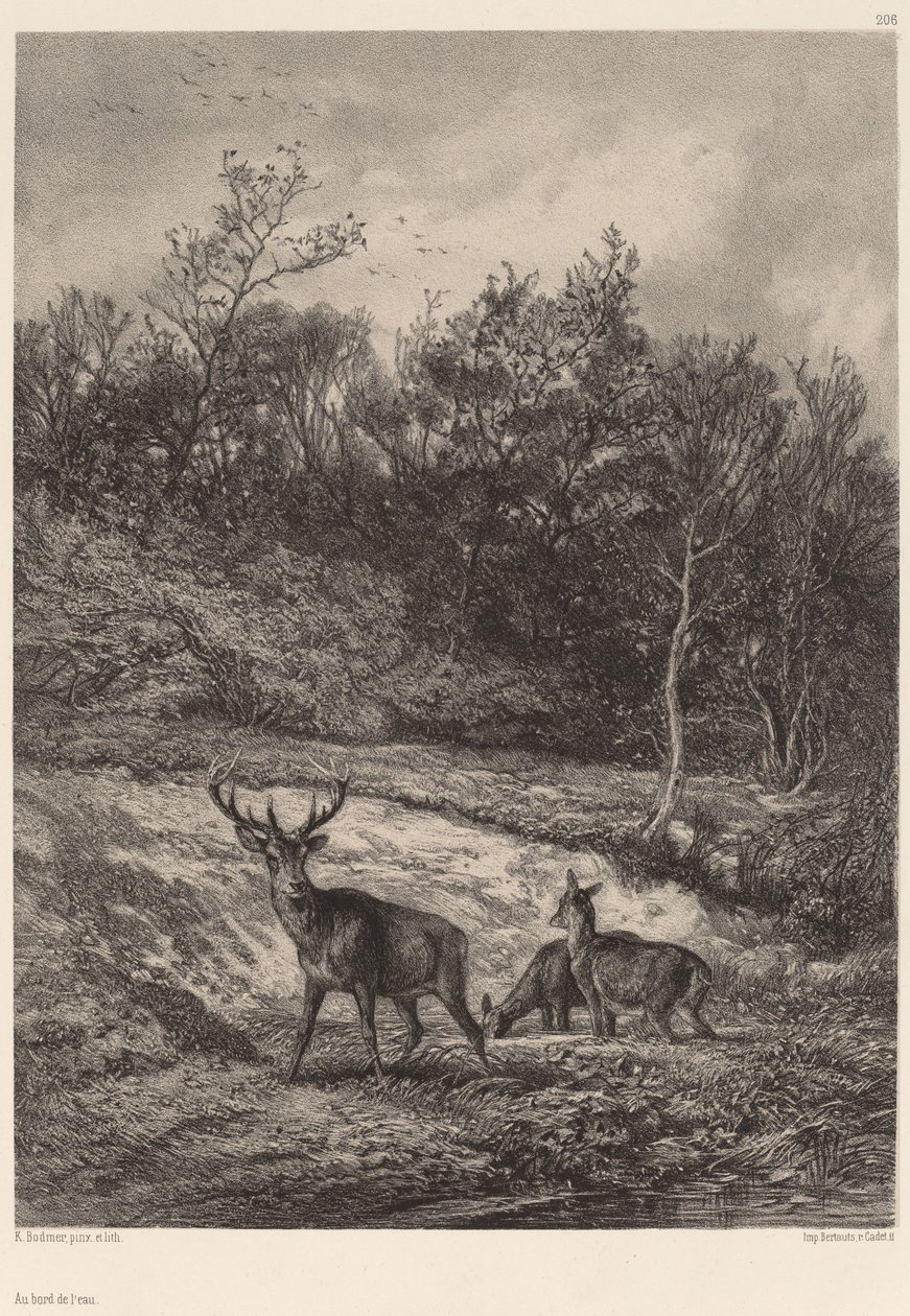 su kenarında by Karl Bodmer