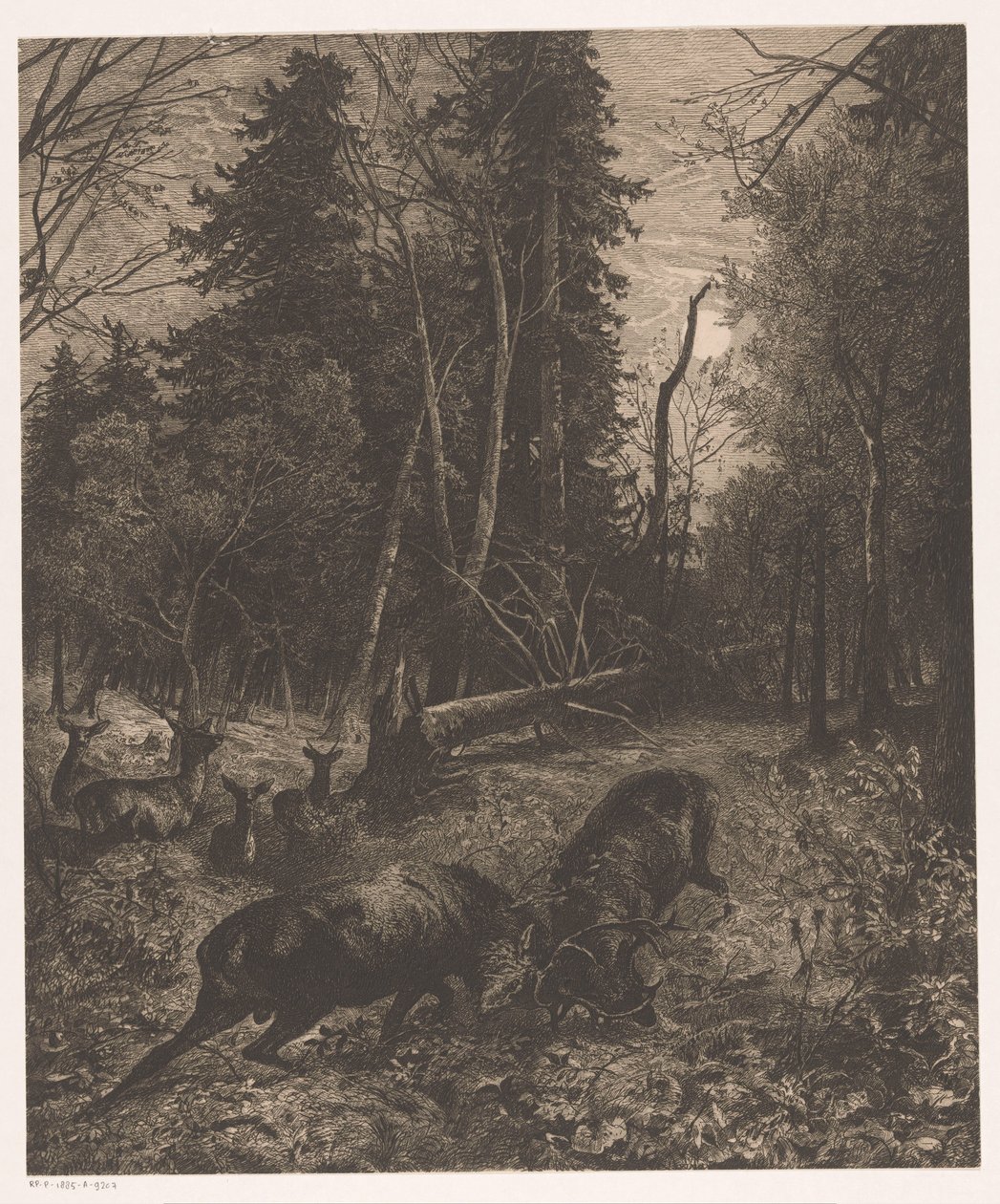 İki dövüş geyiği ile orman manzarası by Karl Bodmer