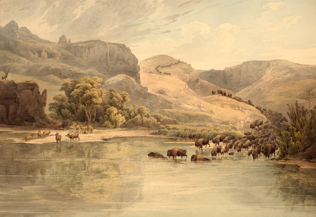  by Karl Bodmer