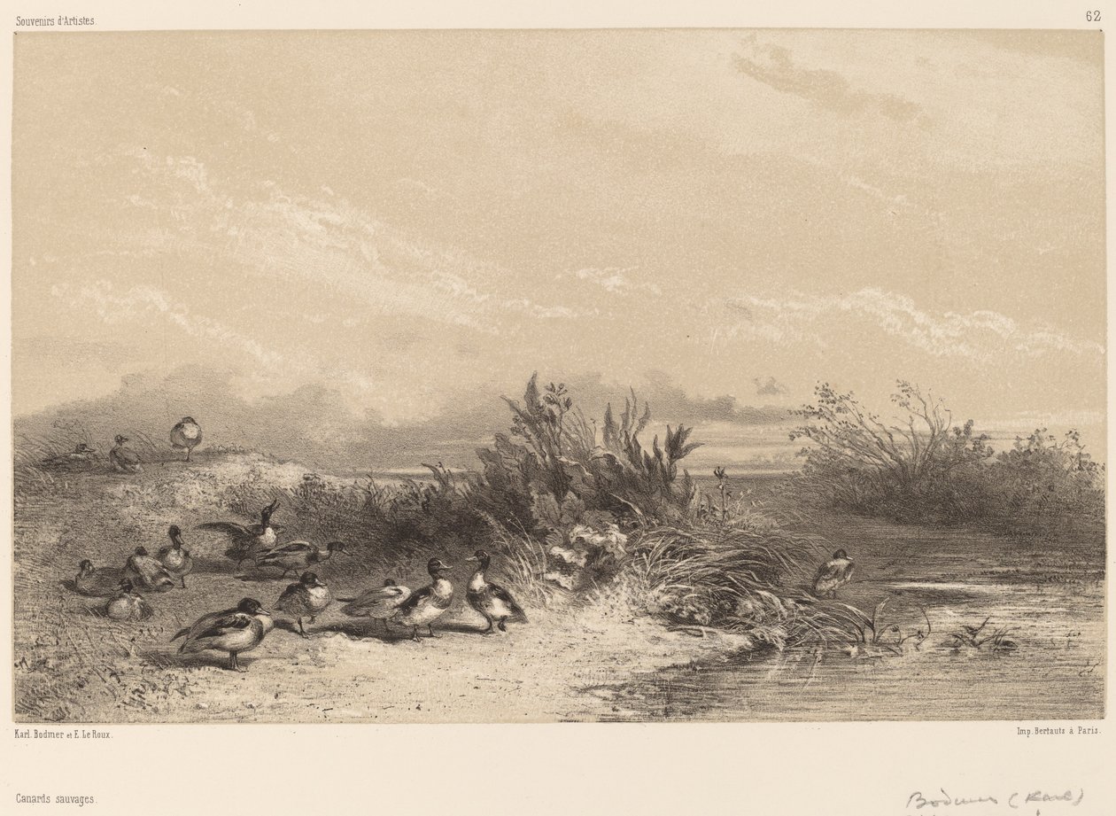 yaban ördekleri by Karl Bodmer