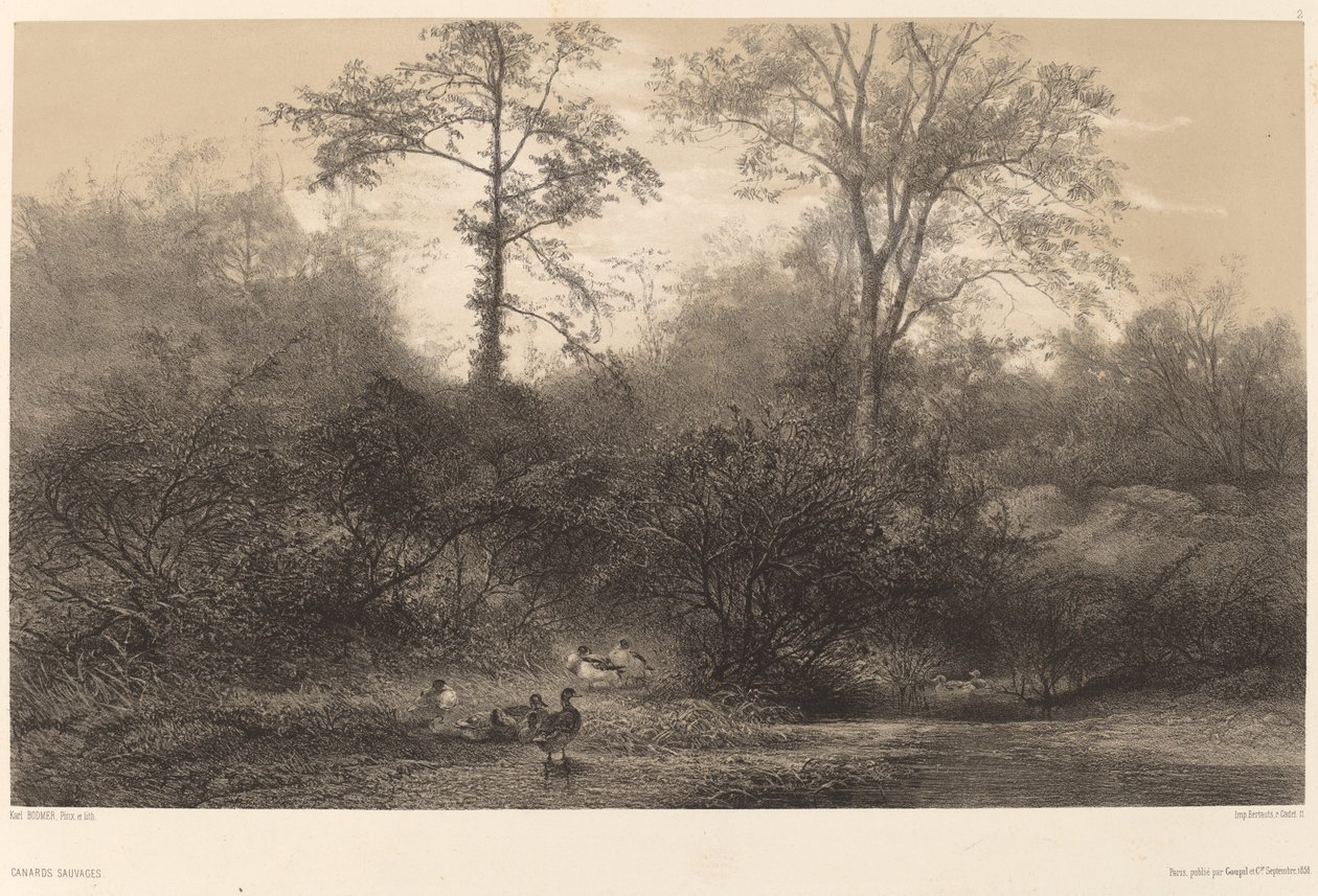 yaban ördekleri by Karl Bodmer