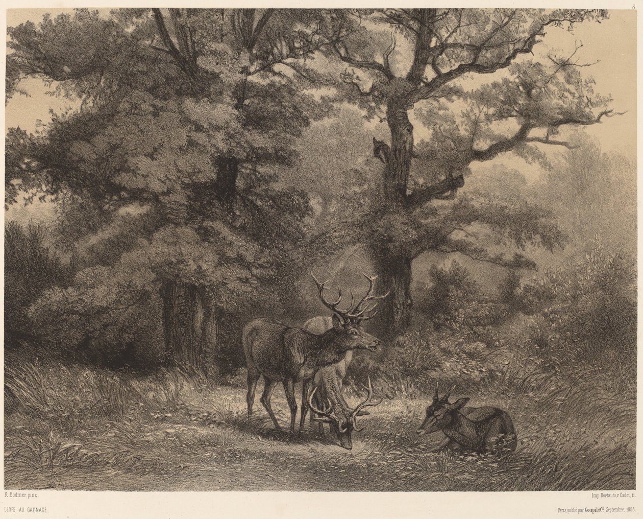 Geyik by Karl Bodmer