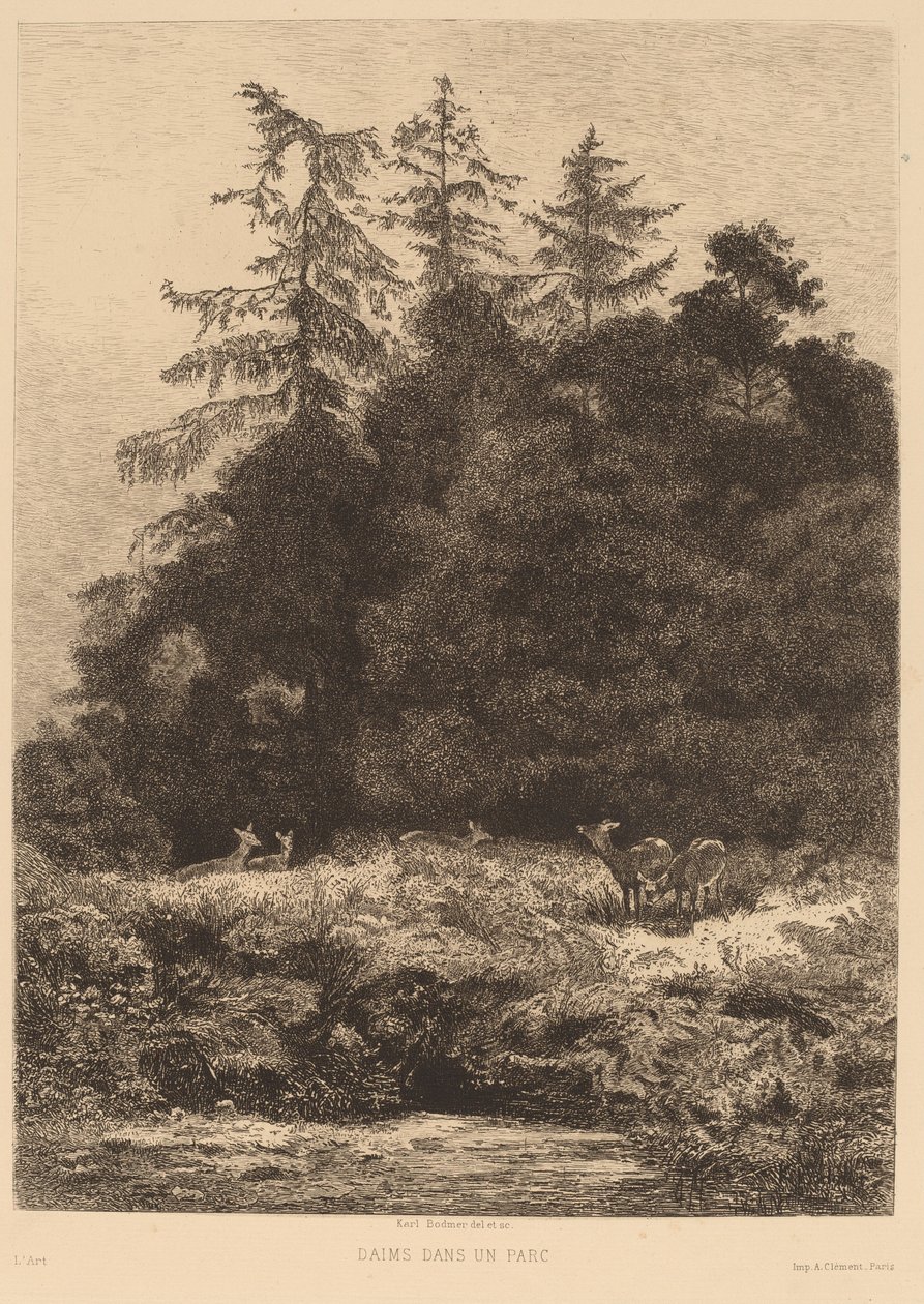 Bir Parkta Alageyik by Karl Bodmer