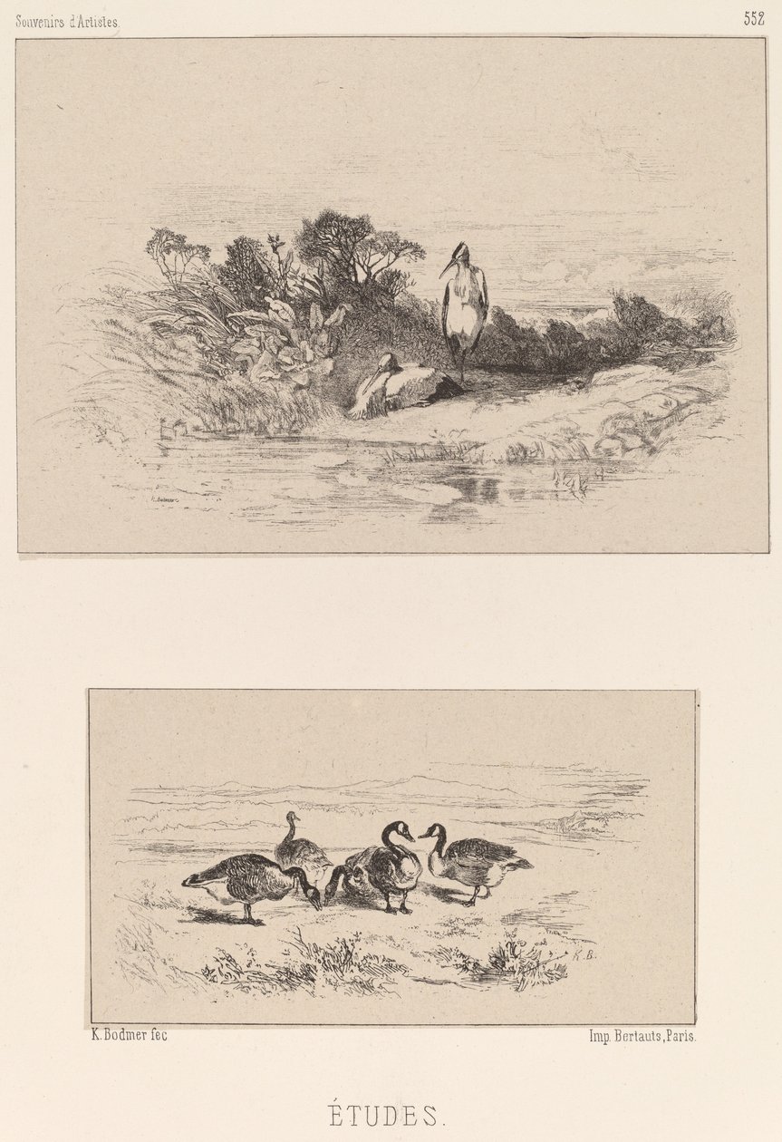 Çalışmalar. by Karl Bodmer