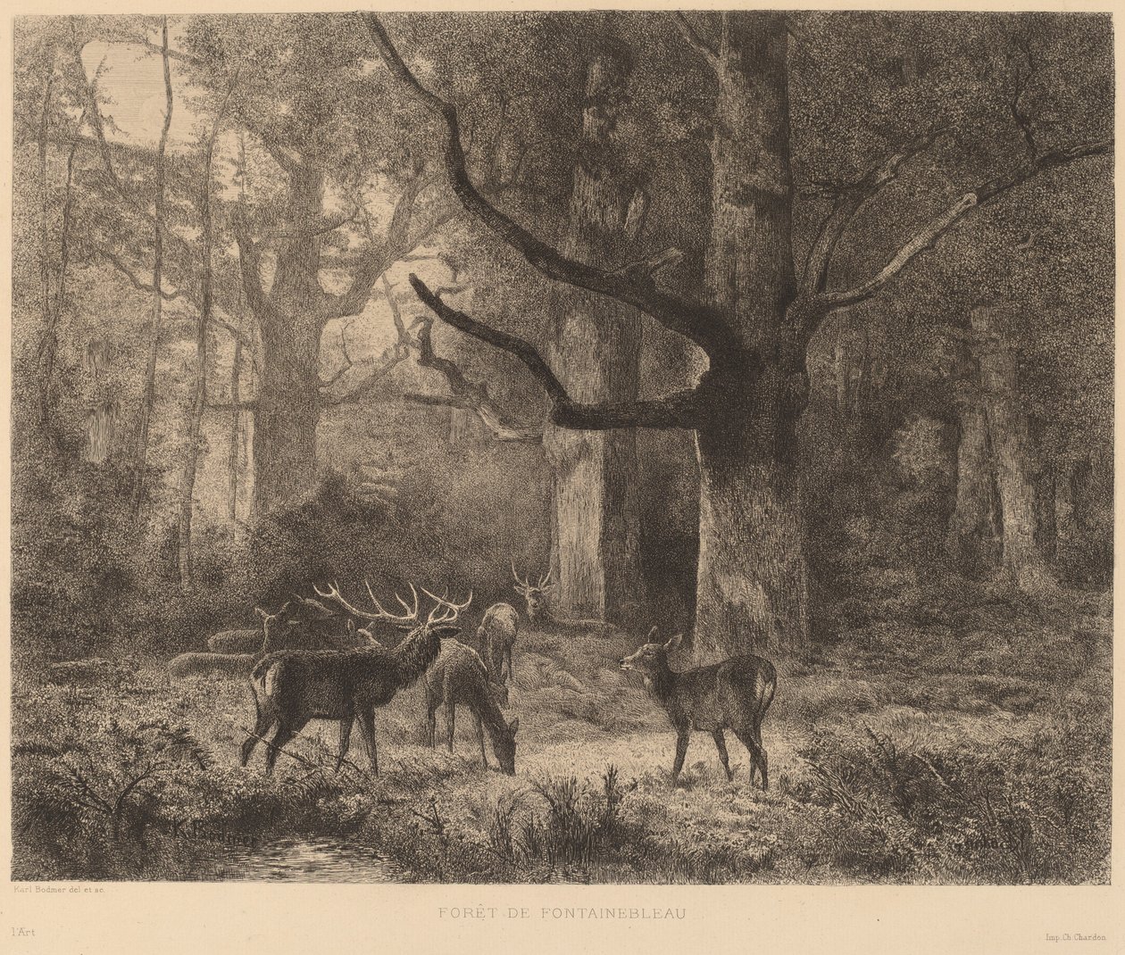 Fontainebleau Ormanı by Karl Bodmer