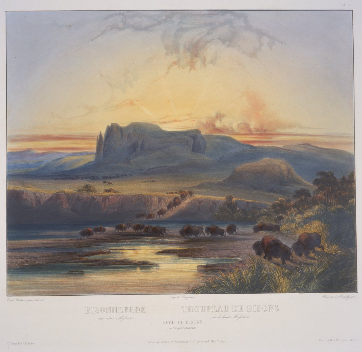 Niagara Şelaleleri by Karl Bodmer