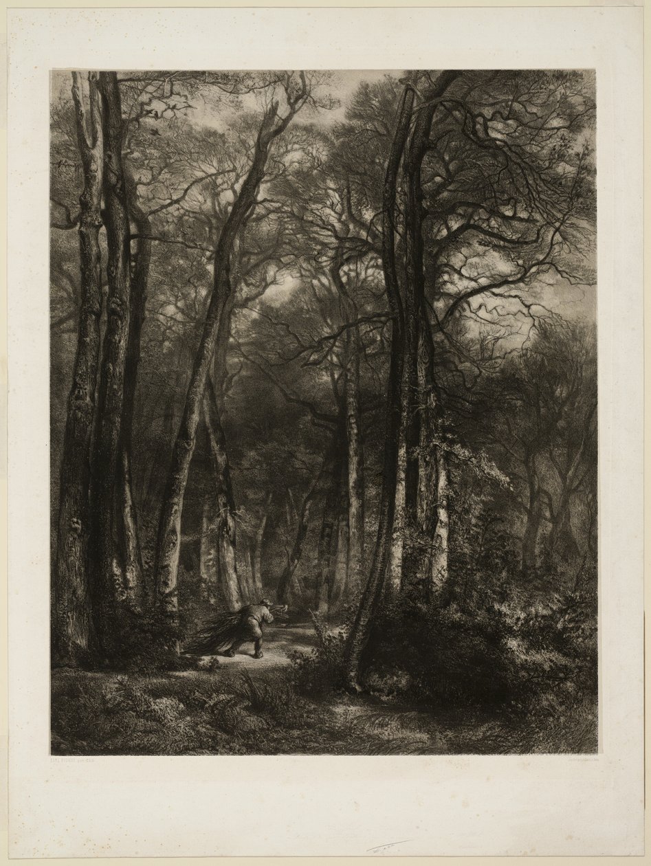 Ormanda by Karl Bodmer