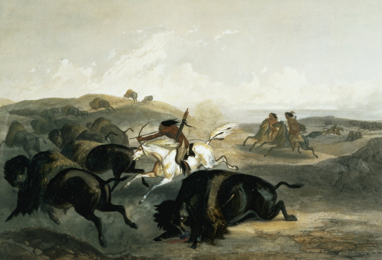 Bizon Avlayan Kızılderililer, Carl Vogel (1816-51) 1844 (aquatint) tarafından kazınmış 