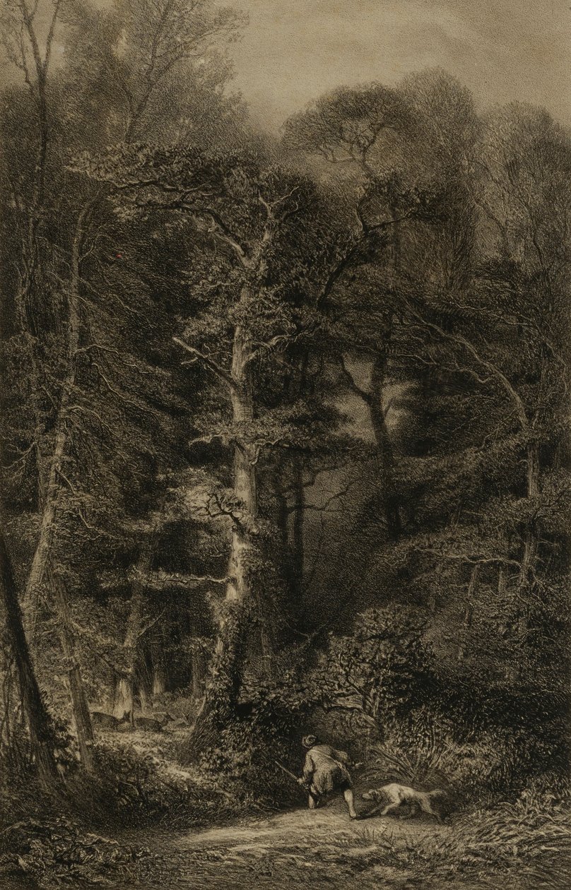  by Karl Bodmer