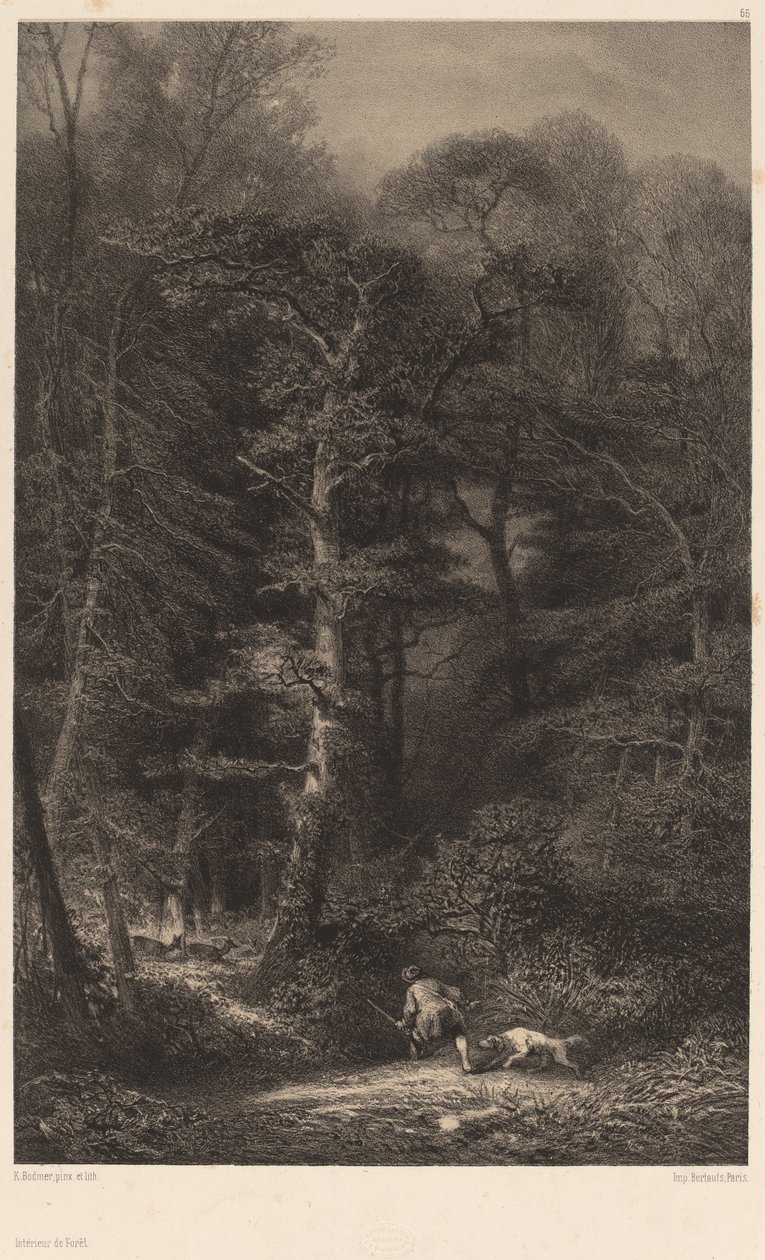 Ormanın İçi. by Karl Bodmer
