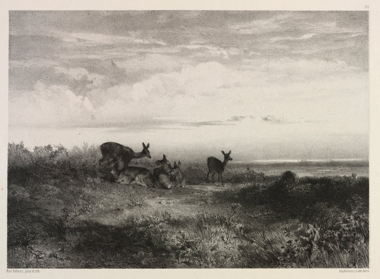 Geyik ile Peyzaj, c. 1840. by Karl Bodmer