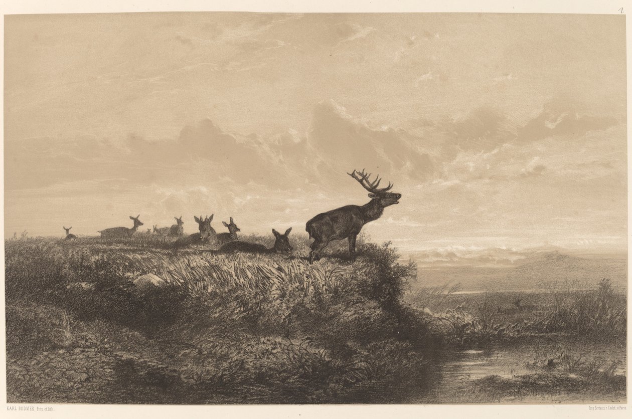 Sabah. Geyik ve Hindiler. by Karl Bodmer