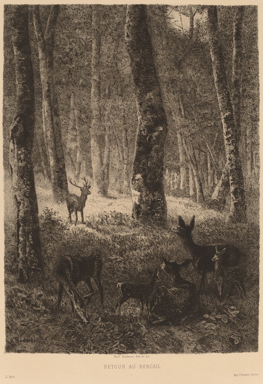 Eve dön by Karl Bodmer
