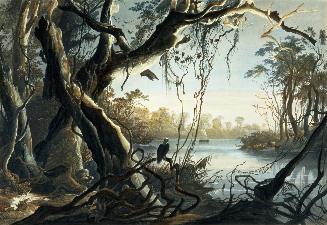 The Mouth of the Fox River, Indiana, Sigismond Himely (1801-72) 1844 (aquatint) tarafından oyulmuş 