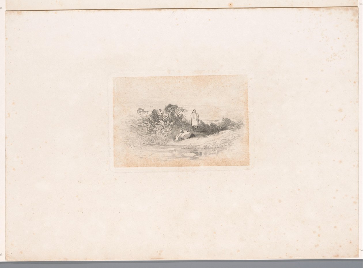 Rıhtımlar üzerinde iki balıkçıl Hayvanlarla manzaralar (dizi başlığı) by Karl Bodmer