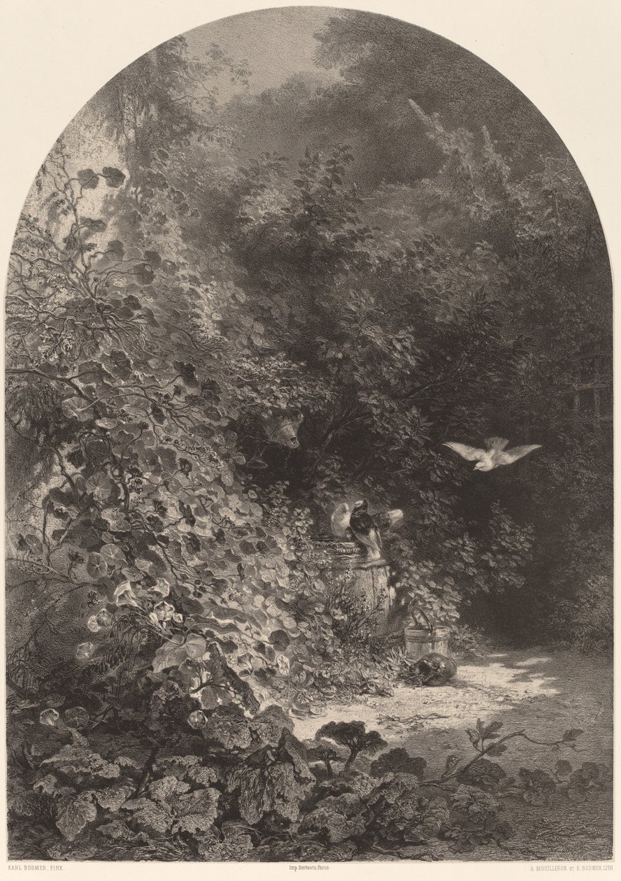 Bahçeden bir köşe by Karl Bodmer