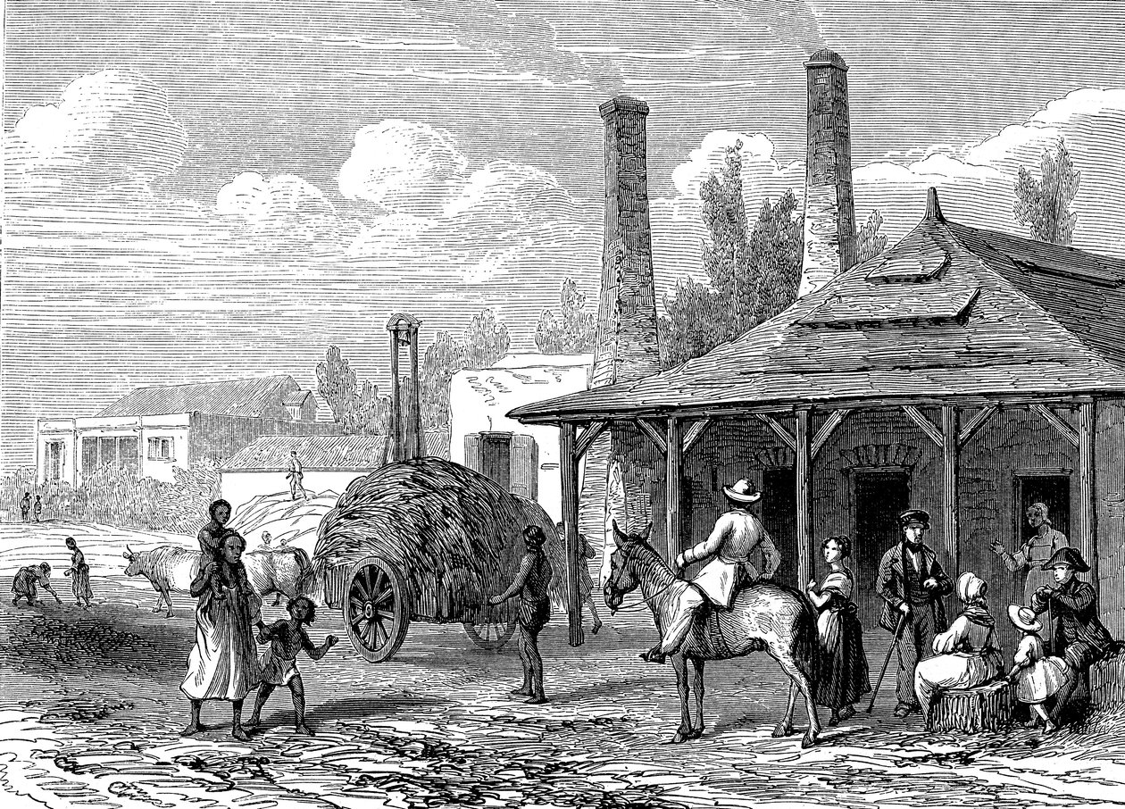 1863'te Mauritius'taki şeker fabrikası. Le T du Monde Paris 1863 Yayıncı by Karl Girardet