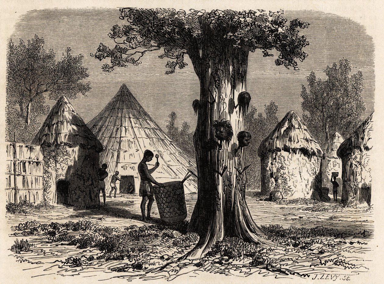 Savaş ağacı, Djour, Bahr-el-Gazal bölgesi, Sudan, Karl Girardet (1813-1871) tarafından 1856-1857