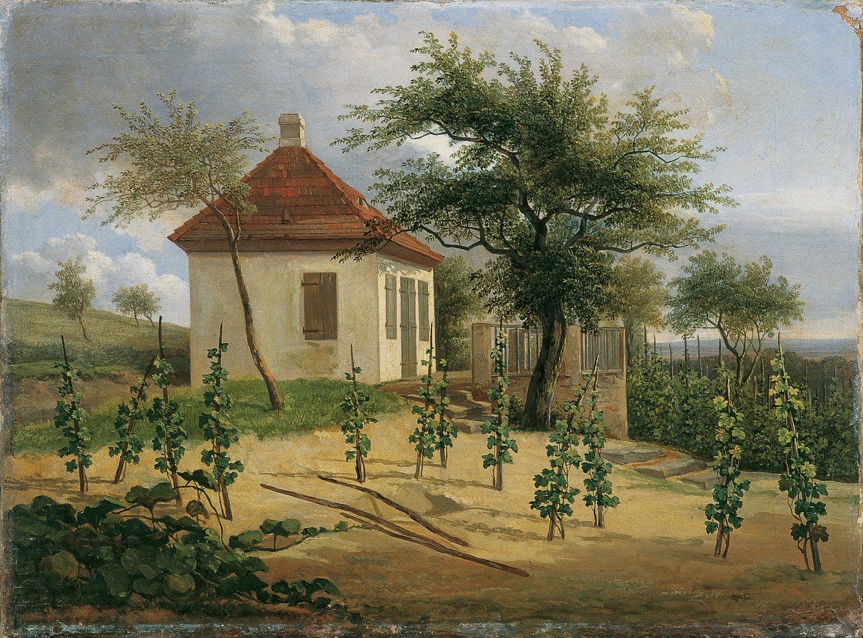 Pavyon Dr. Körner