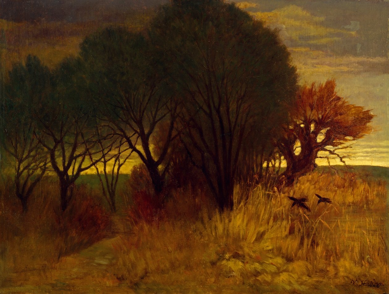 bozkır by Karl Haider