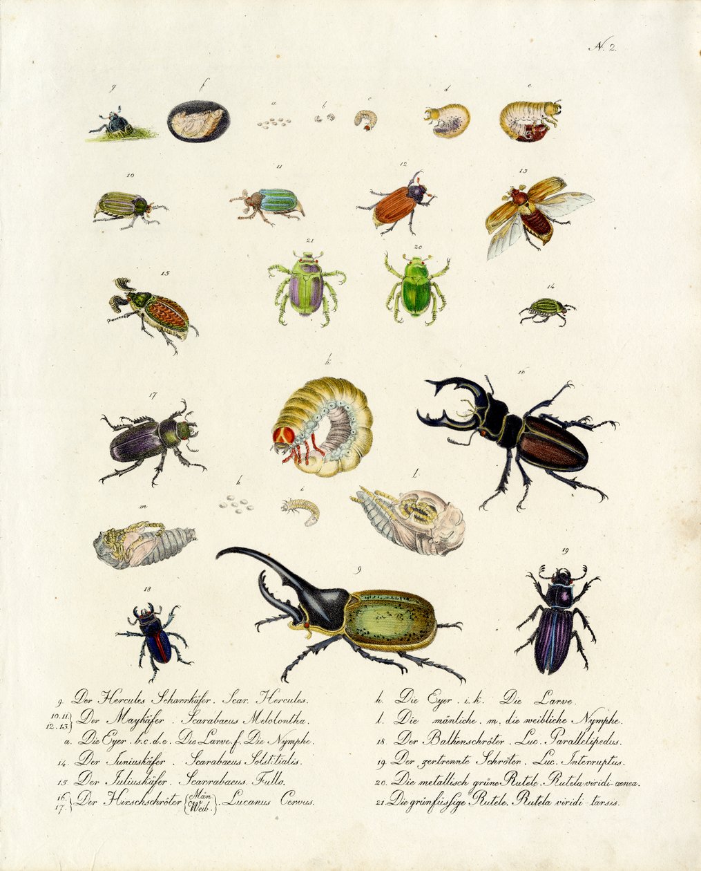  by Karl Joseph Brodtmann