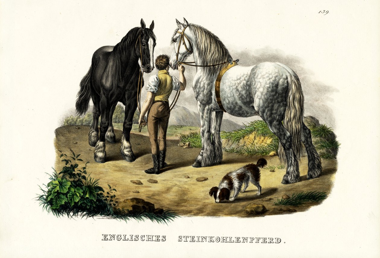 İngiliz Çukur Atı, 1824 by Karl Joseph Brodtmann