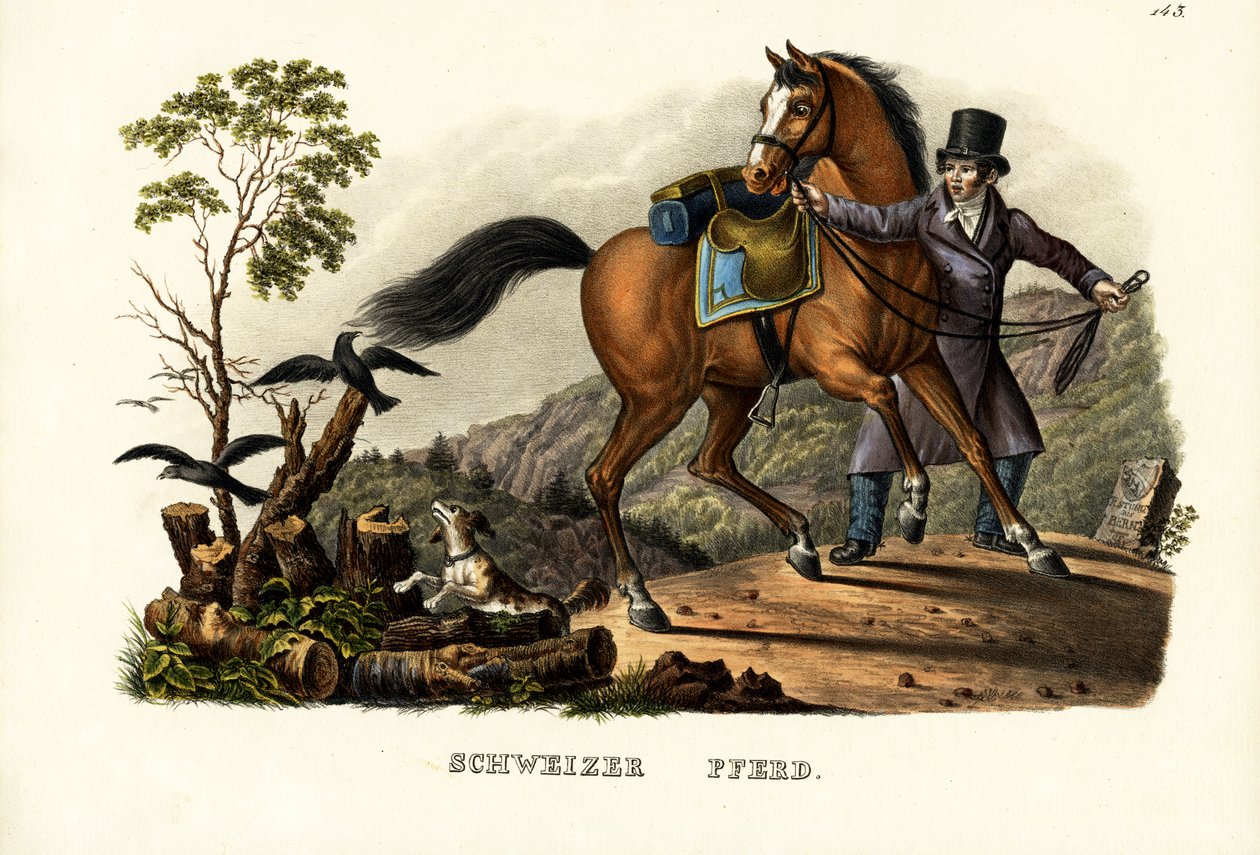 İsviçre Atı, 1824 by Karl Joseph Brodtmann