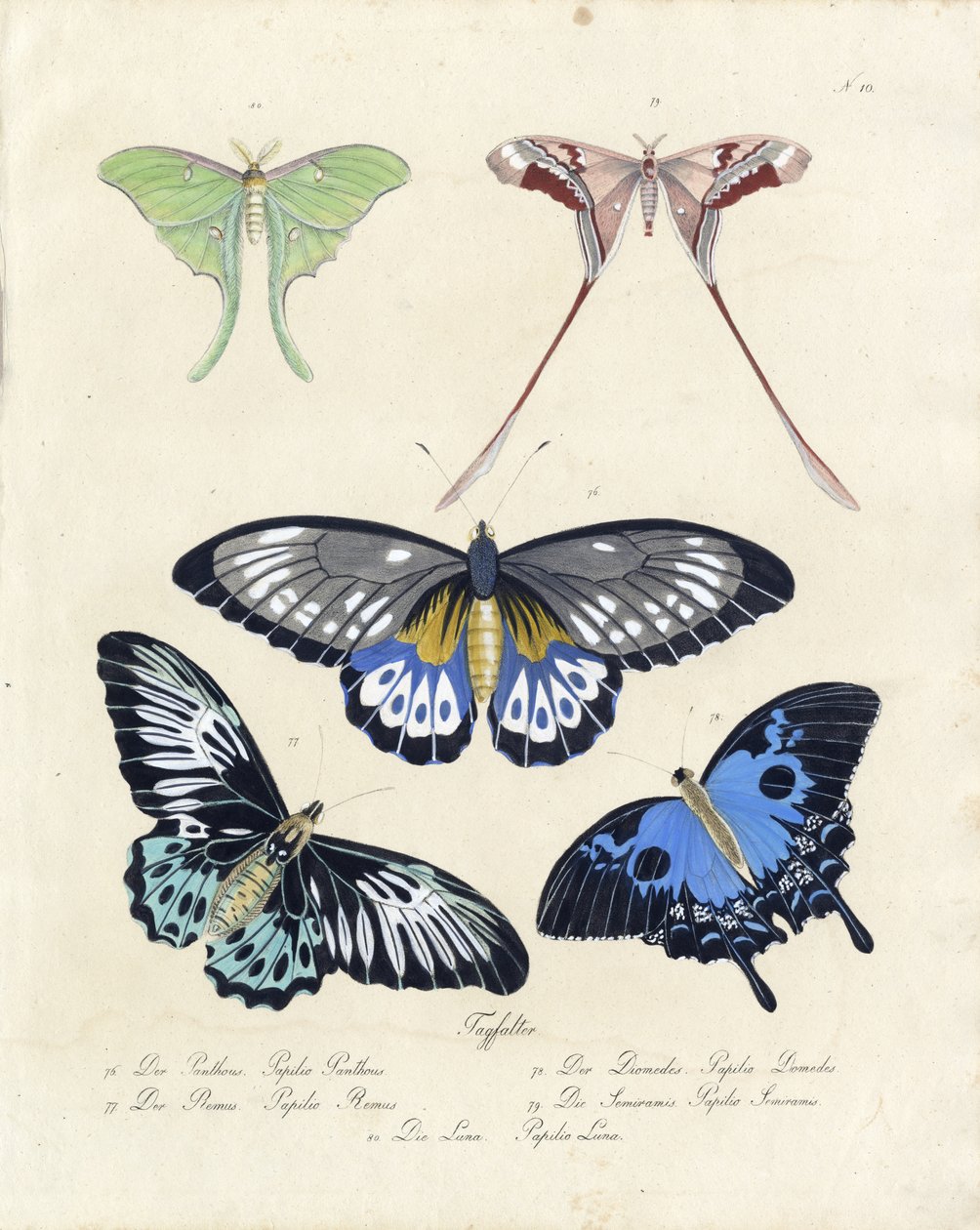  by Karl Joseph Brodtmann