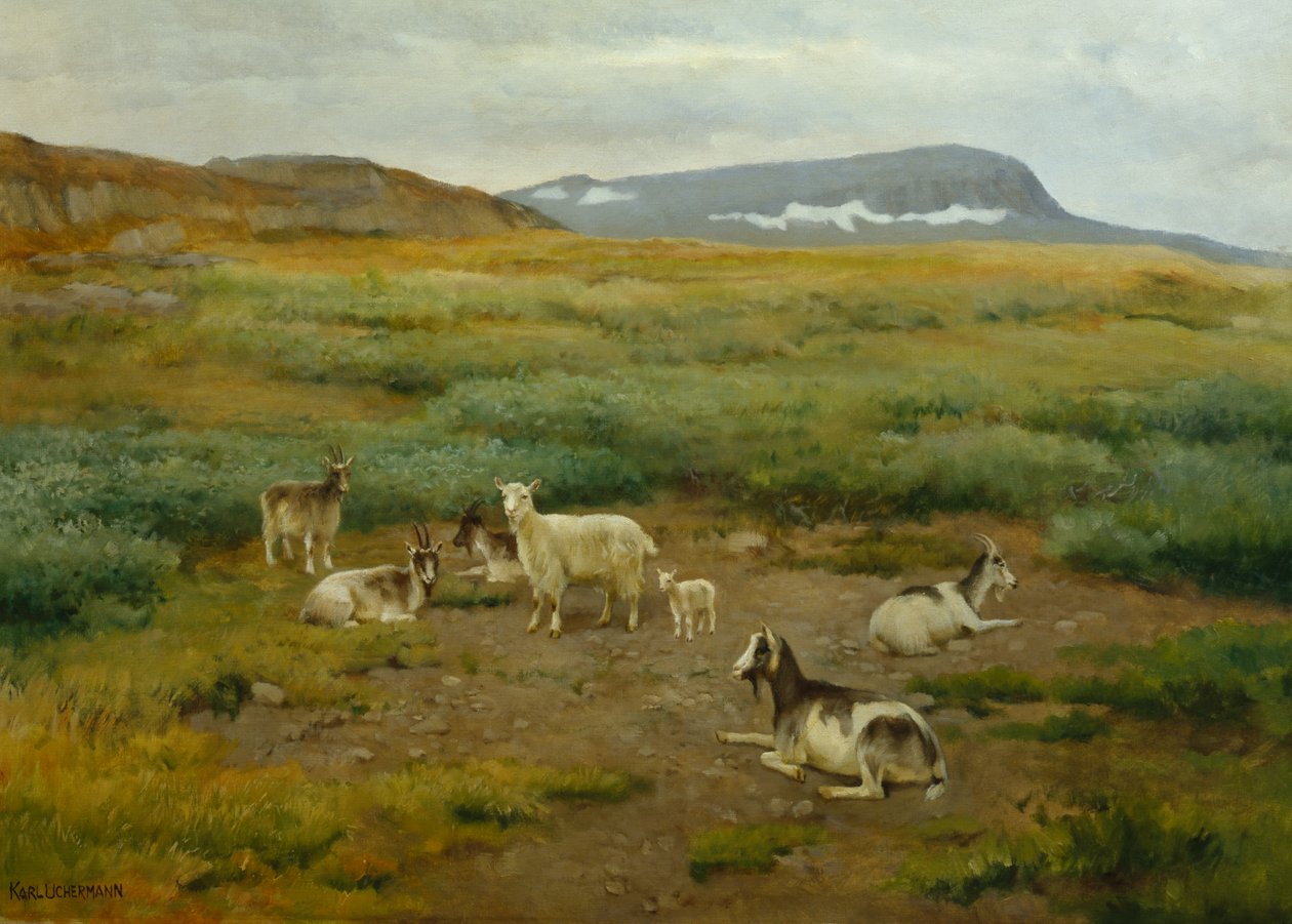 Çim keçi by Karl K. Uchermann