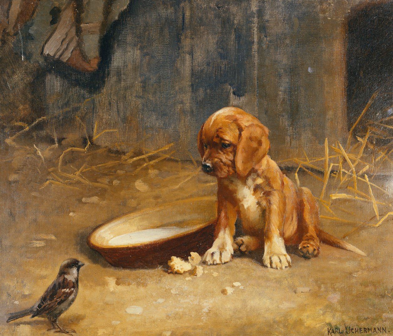Davetsiz Misafir by Karl K. Uchermann