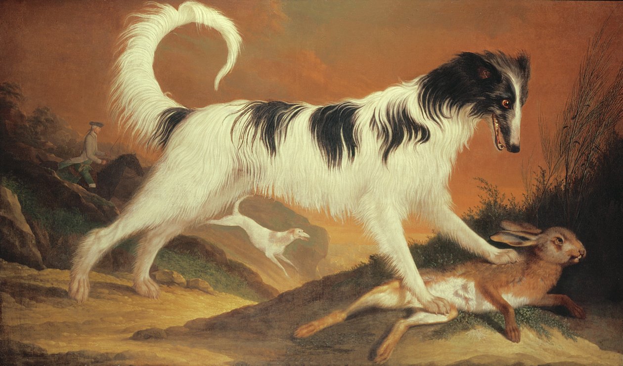 Köpek ve Tavşan by Karl Kaspar Pitz