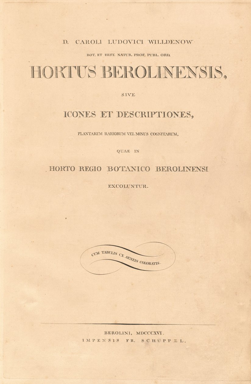 Berlin Bahçesi by Karl Ludwig Willdenow