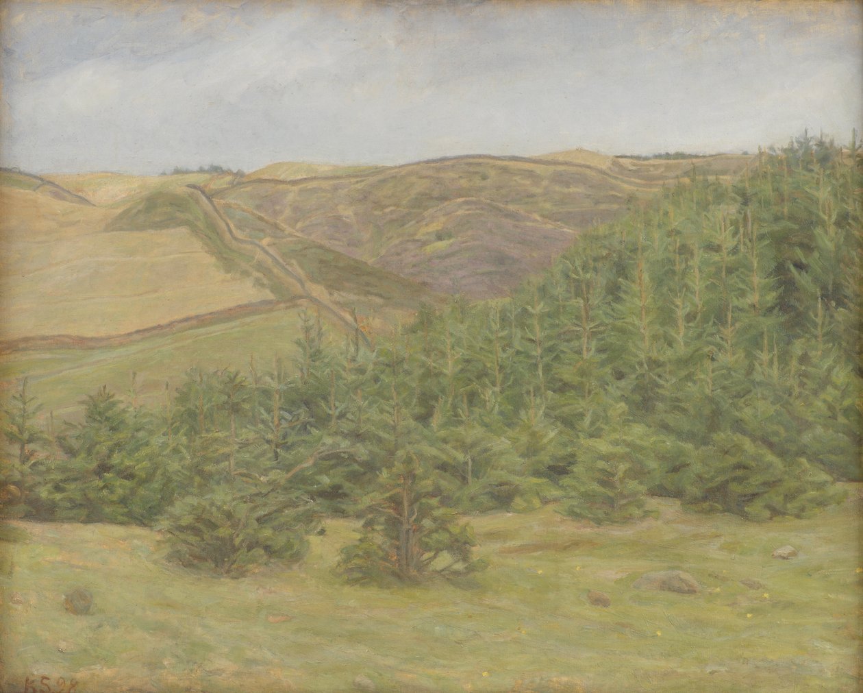 Svanninge Tepeleri, Funen by Karl Schou