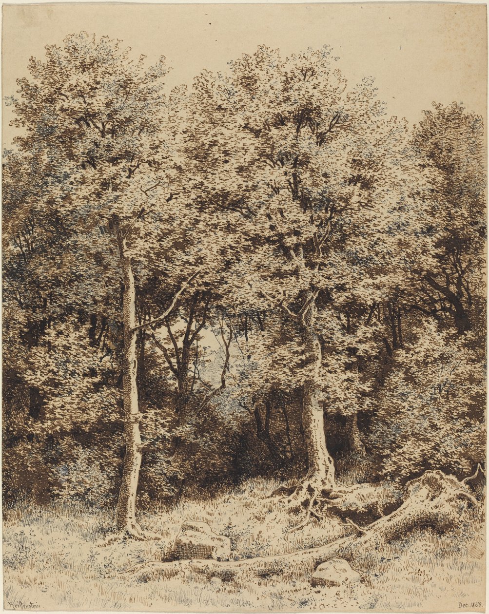 Ağaçların Korusu by Karl Theodor Reiffenstein
