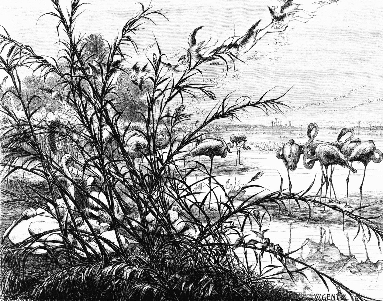 Menaleh Gölü'ndeki Kuşlar Meclisi, 1880 by Karl Wilhelm Gentz