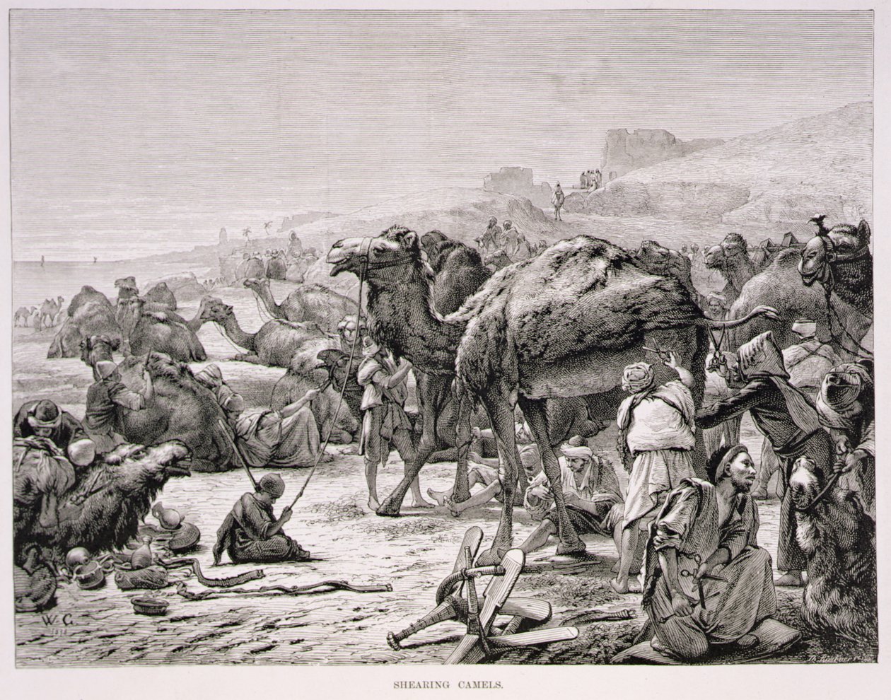 Kırkma Develeri by Karl Wilhelm Gentz
