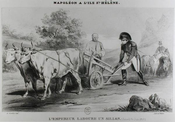 Napolyon (1769-1821), St. Helena