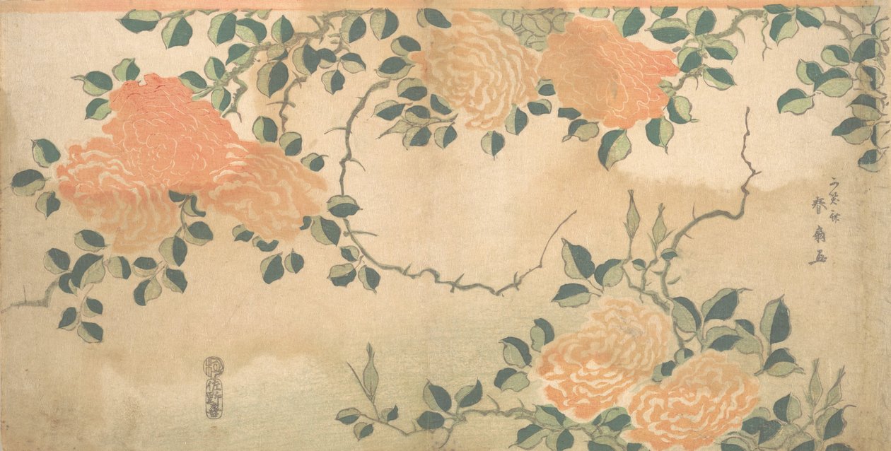 güller ca. 1810. by Kashosai Shunsen
