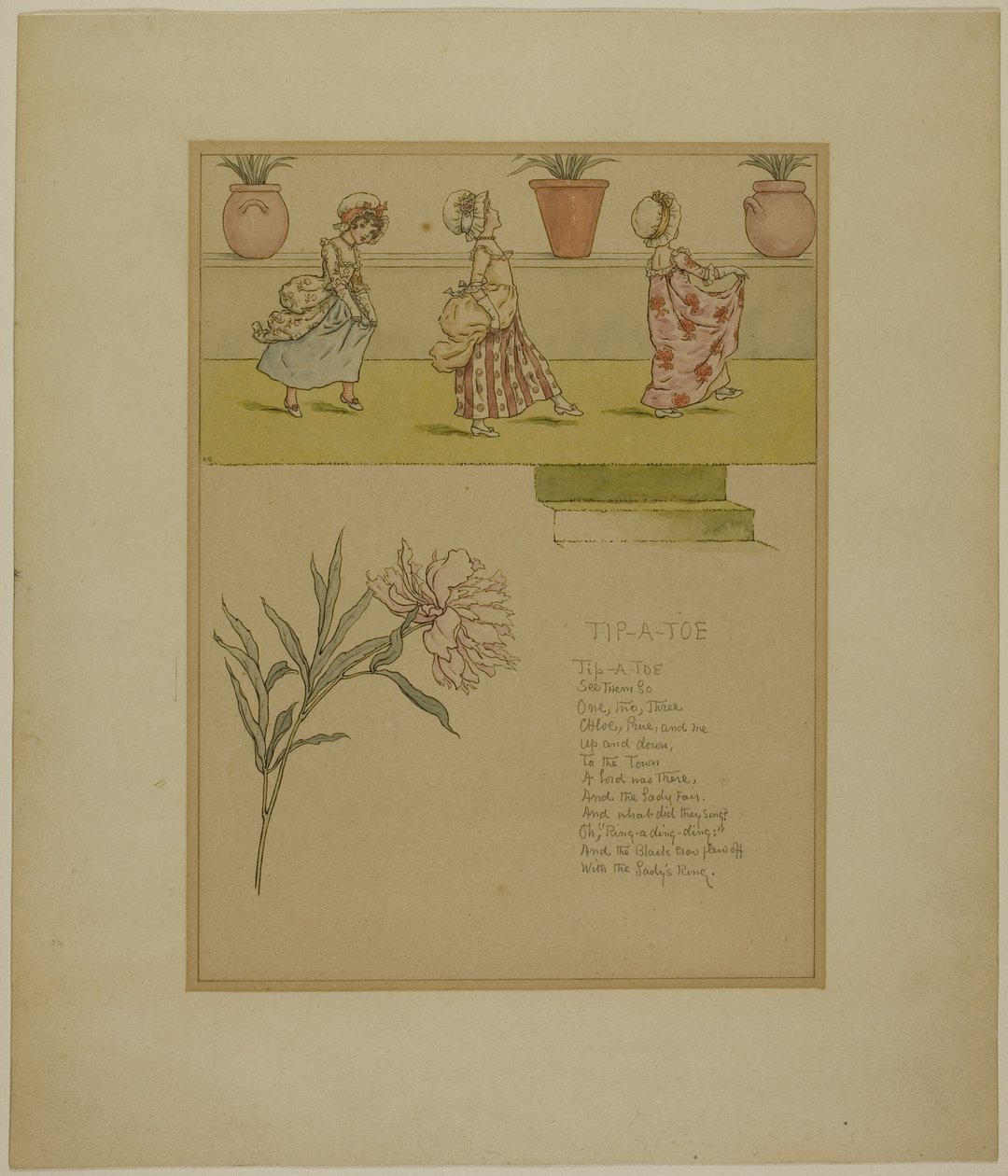 Marigold Garden