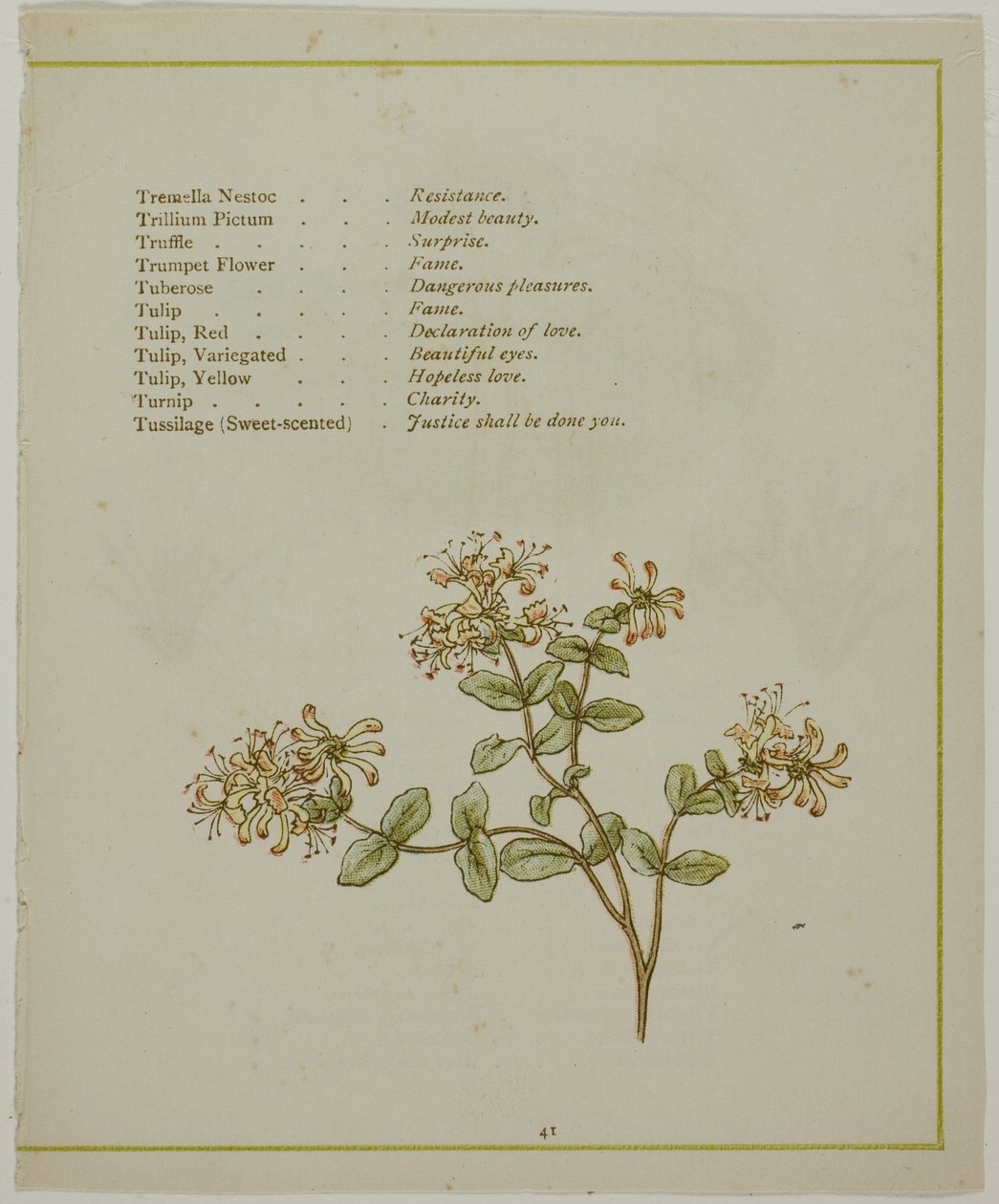 Çiçeklerin Aydınlatılmış Dilinden Volkamenia Yoluyla Valerian by Kate Greenaway