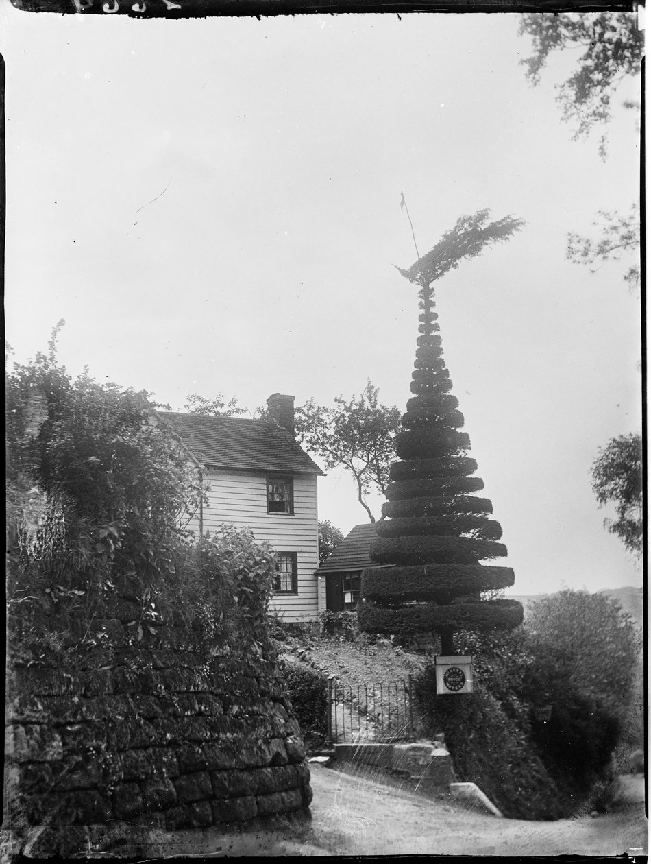 Ashurst Postanesi, Ashurst Tepesi, Speldhurst, Tunbridge Wells, Kent by Katherine Jean Macfee