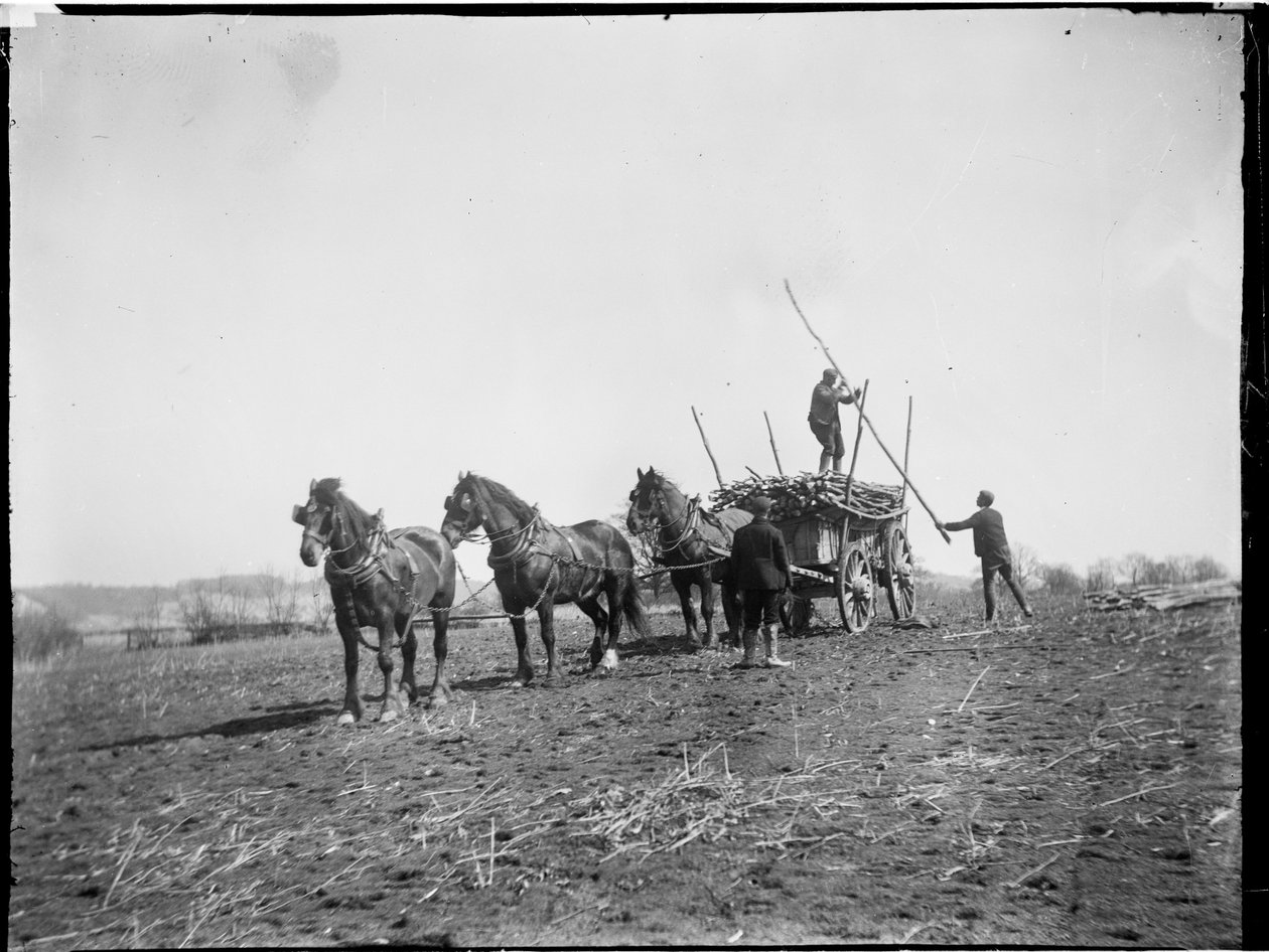 Broomfield, Broomfield ve Kingswood, Maidstone, Kent, 06/04/1904 (s/b fotoğraf) by Katherine Jean Macfee