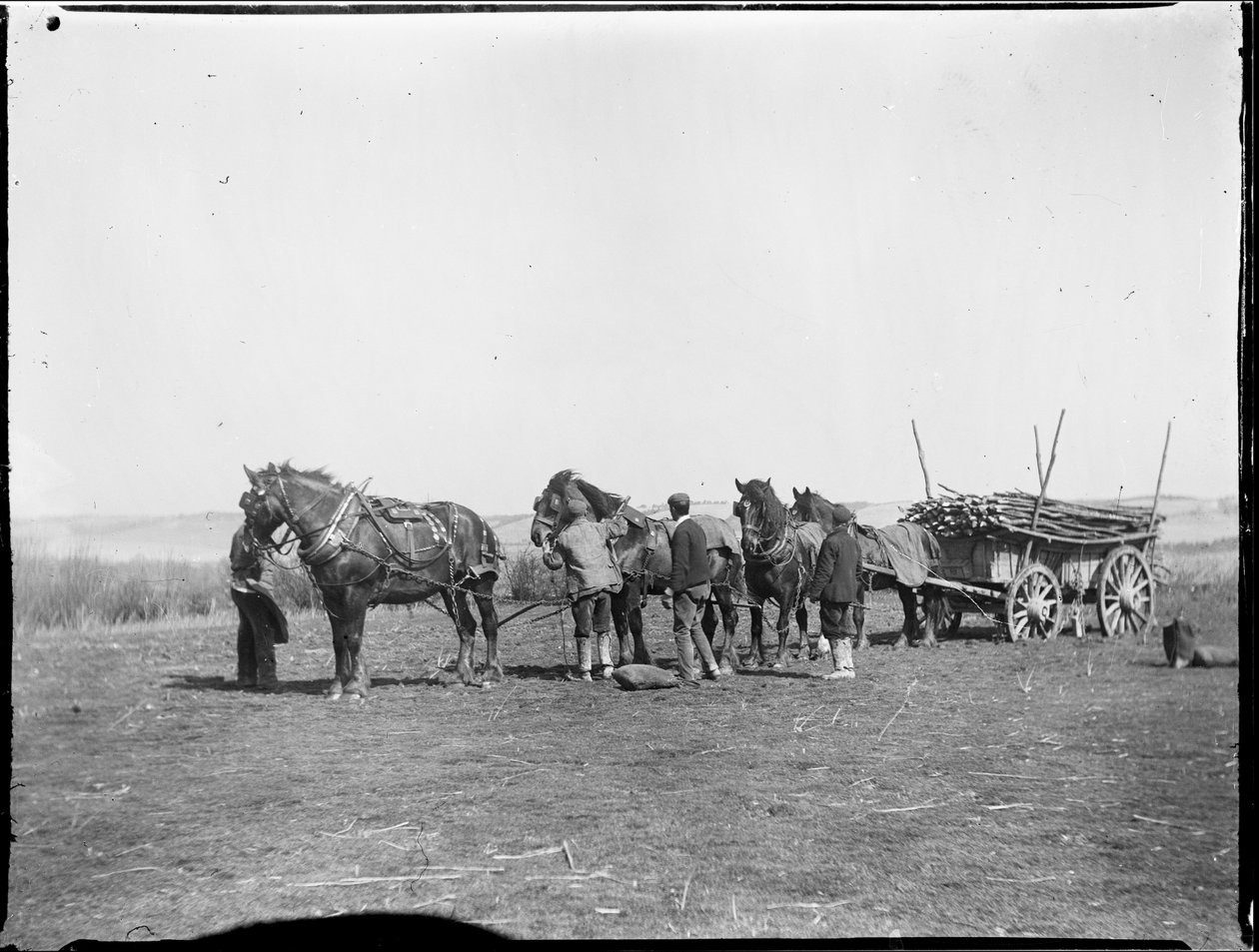 Broomfield, Broomfield ve Kingswood, Maidstone, Kent, 06/04/1904 (s/b fotoğraf) by Katherine Jean Macfee