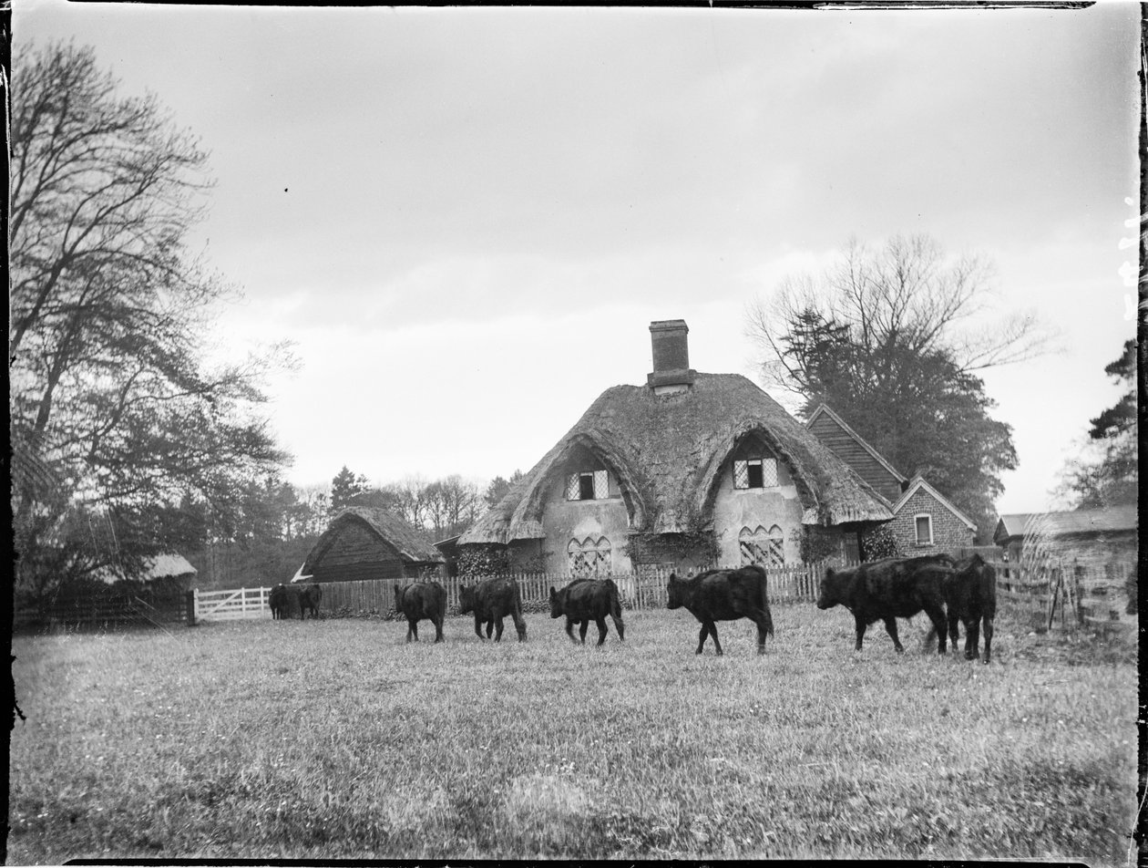 Büyük Hampden, Büyük ve Küçük Hampden, Wycombe, Buckinghamshire by Katherine Jean Macfee