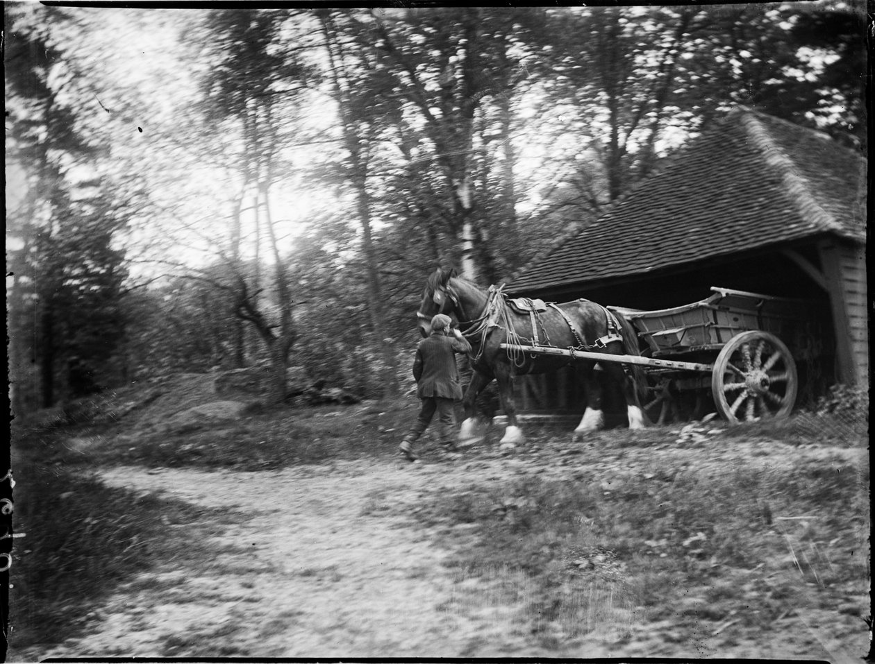 Groombridge, Speldhurst, Tunbridge Wells, Kent, 20/05/1911 (s/b fotoğraf) by Katherine Jean Macfee
