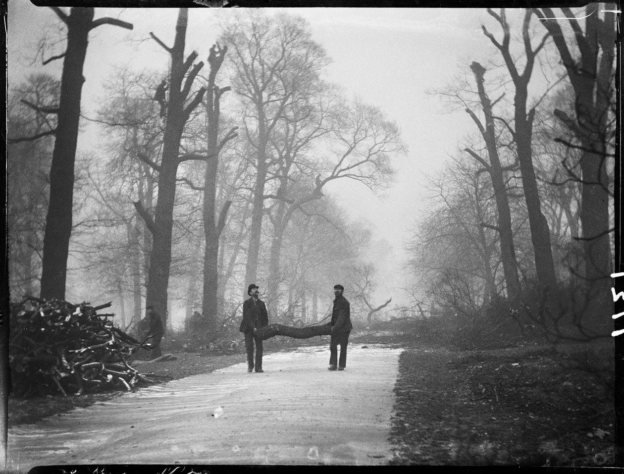 Kensington Bahçeleri, Hyde Park, City Of Westminster, Londra, 26/01/1907 (s/b fotoğraf) by Katherine Jean Macfee
