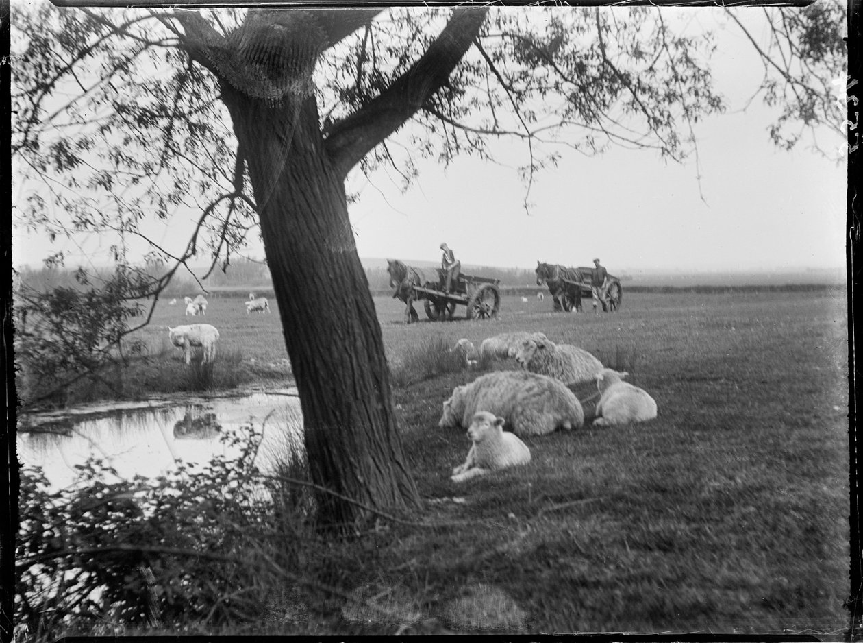 Luckhurst, Aşağı Yol, Taş-Cum-Ebony, Ashford, Kent by Katherine Jean Macfee