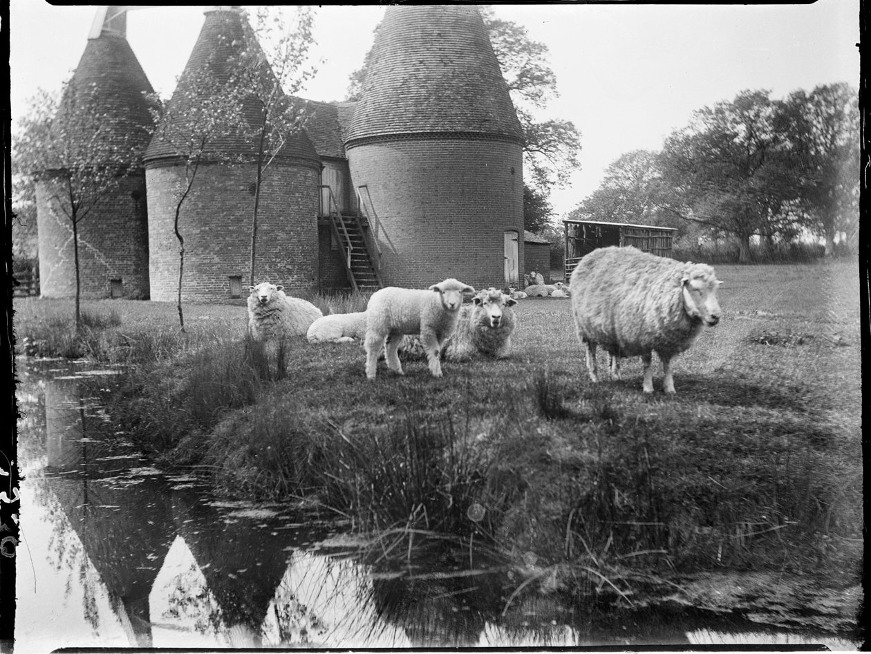 Luckhurst, Aşağı Yol, Taş-Cum-Ebony, Ashford, Kent by Katherine Jean Macfee