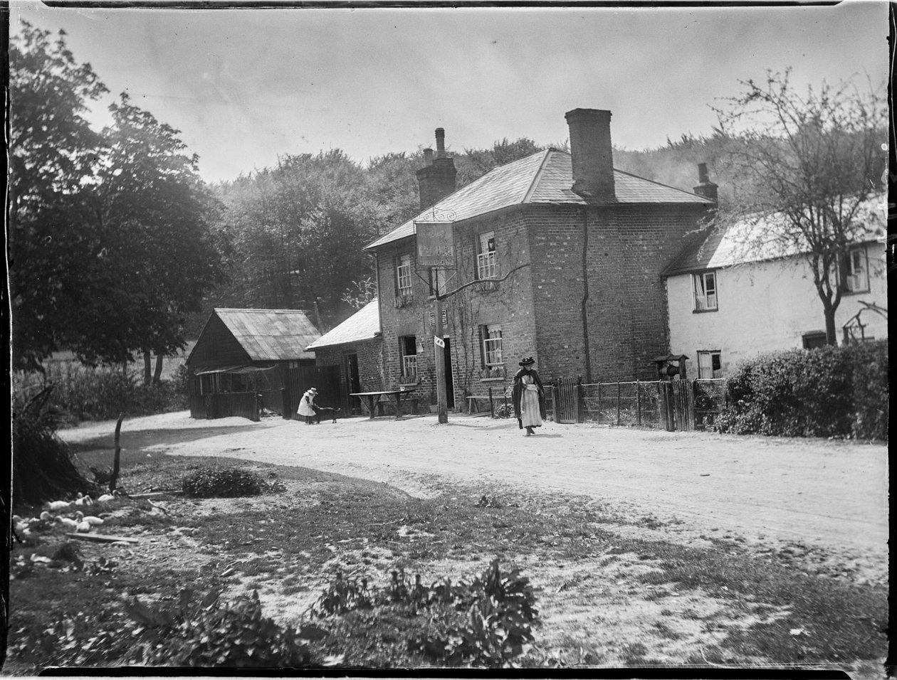 Pulluk, Aşağı Cadsden, Princes Risborough, Wycombe, Buckinghamshire by Katherine Jean Macfee